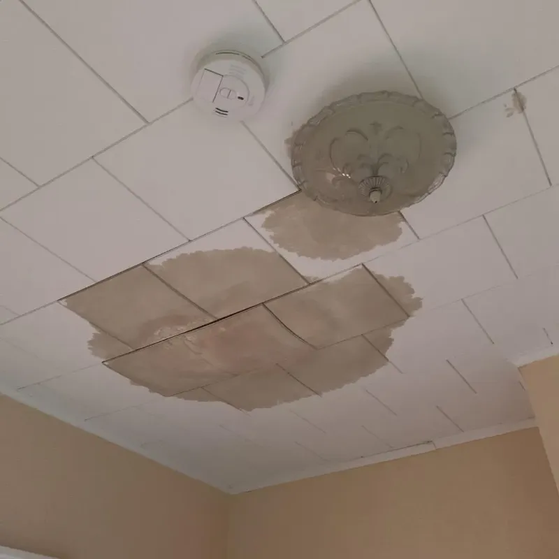 Ceiling Water Damage Repair in Waterloo, IN