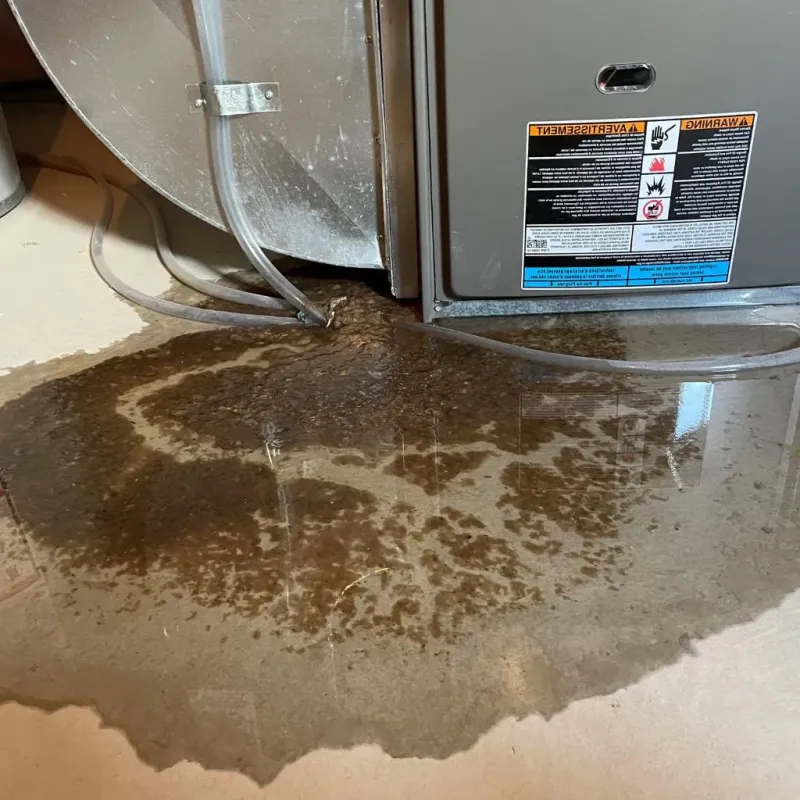 Pipe Burst and Leak Restoration in Waterloo, IN