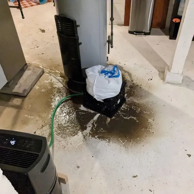 Sewage Backup Cleanup Service in Waterloo, IN